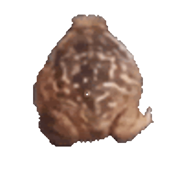 finnhcash